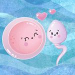 Eicelkwaliteit verbeteren preconceptiefase